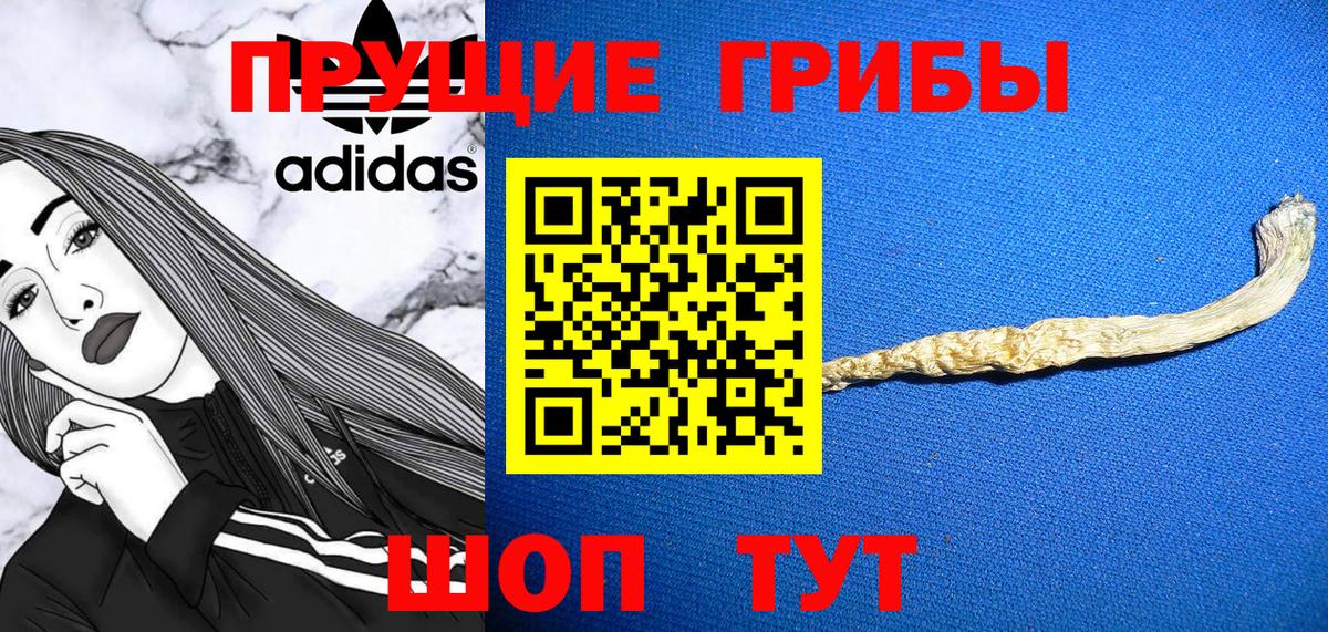 Псилоцибиновые грибы Cubensis Донецк