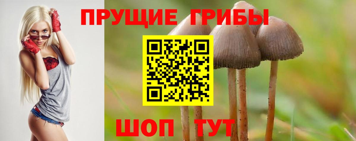 Донецк  Галлюциногенные грибы ЛСД  Вход с VPN 
